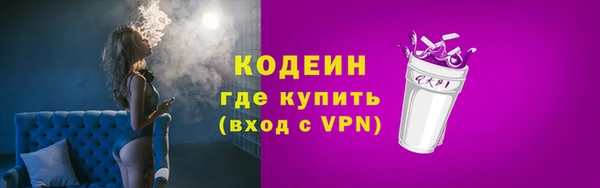 дживик Абаза