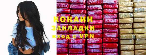 дживик Абаза