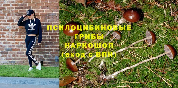 дживик Абаза
