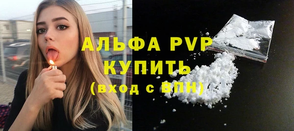 дживик Абаза